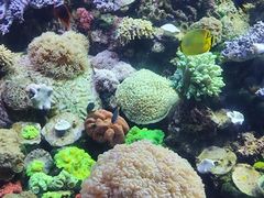 -珠海长隆海洋王国