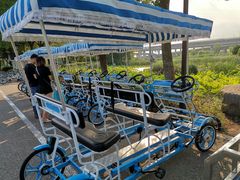 -荷塘月色湿地公园·向阳花洲