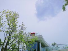 -府河摄影公园