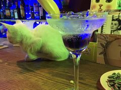 -星宿秘码(鼓浪屿老店)