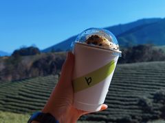 -白茶原·一片叶子