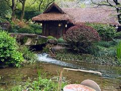-中国茶叶博物馆(双峰馆区)