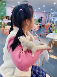 -Moni星球萌宠·小马宝莉·灵蛇·高端高阶全萌宠互动体验俱乐部(红豆国际广场店)