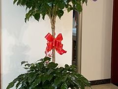 -三旗百汇商品城