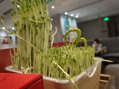 -海底捞火锅(步步高新天地店)