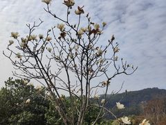 -中国移动南方基地