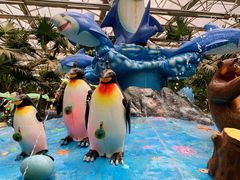 -南宫五洲植物乐园