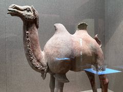 -敦煌市博物馆