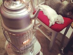 Mikaku-MIKAKU(万达广场上海宝山店)