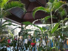 -亚马逊丛林水乐园