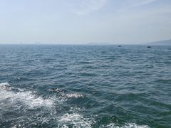-大连老虎滩海洋公园