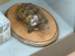 -下渚湖国家湿地公园科普馆