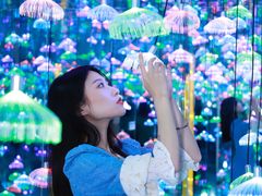 -杭州西湖星空魔幻城(星空艺术馆品牌旗舰店)