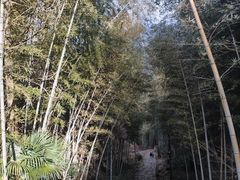 -仙霞关景区