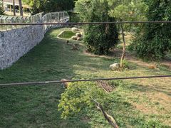 -泉州海丝野生动物世界