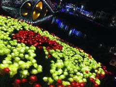 -大塘金香草谷