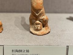 -河南博物院