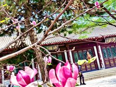 -护国法轮寺