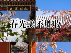 -北京颐和宾馆