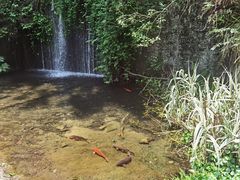 -千岛湖东南湖区