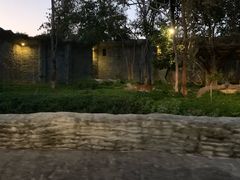 -清迈夜间动物园