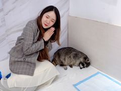 -浣熊柯尔鸭土拨鼠·电玩咖