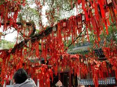 -国恩寺