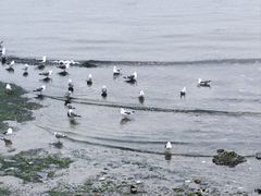 -黑石礁公园