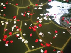 -昆明柏联SPA温泉