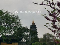 -红梅公园