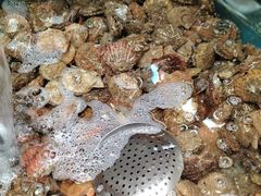 -和源祥·日照菜扛把子(万平口一店)