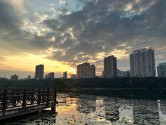 -南宁南湖公园