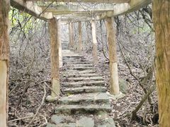-金龙寺国家森林公园