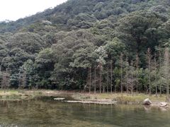 -广州市石门国家森林公园