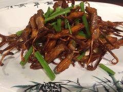 -同喜烤鸭店(光芒店)