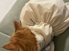 -中农国际动物医院24小时·猫科·骨科·急重症中心