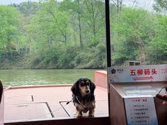 -常德桃花源景区