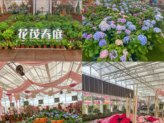 -盈香心动乐园