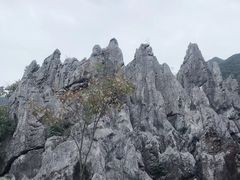 -千岛湖石林