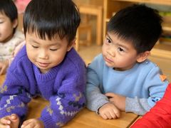 -自然树儿童之家(海珠翠城花园托育.早教校区)