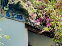 -深圳国际园林花卉博览园