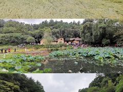 -韶山毛泽东同志故居