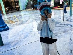 -海合安武汉极地海洋公园