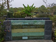 -蠡湖中央公园