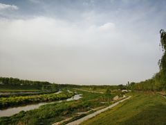 -洨河生态公园