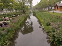 -东郊湿地公园