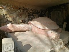 -上海佘山国家森林公园天马山园