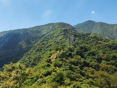 -北京鹫峰国家森林公园