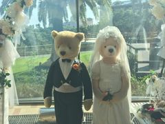 -济州岛泰迪熊博物馆