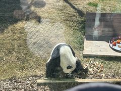 -无锡动物园·太湖欢乐园